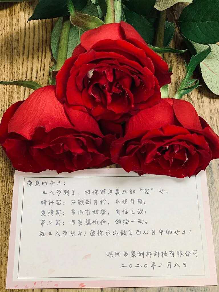 YABO鸭脖官网,女神节,硅胶胶水 YABO鸭脖官网,女神节,硅胶胶水